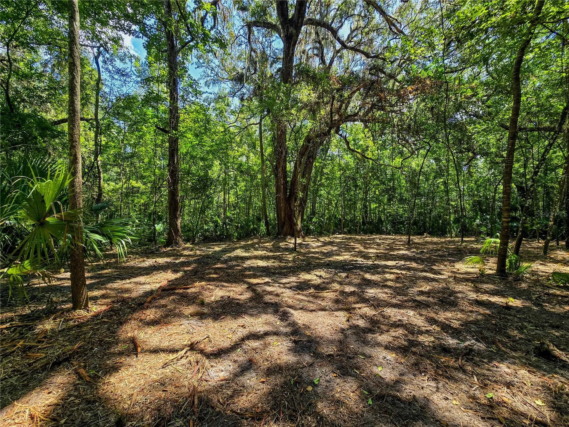 2381 N Jennifer Terrace Inverness FL 34453