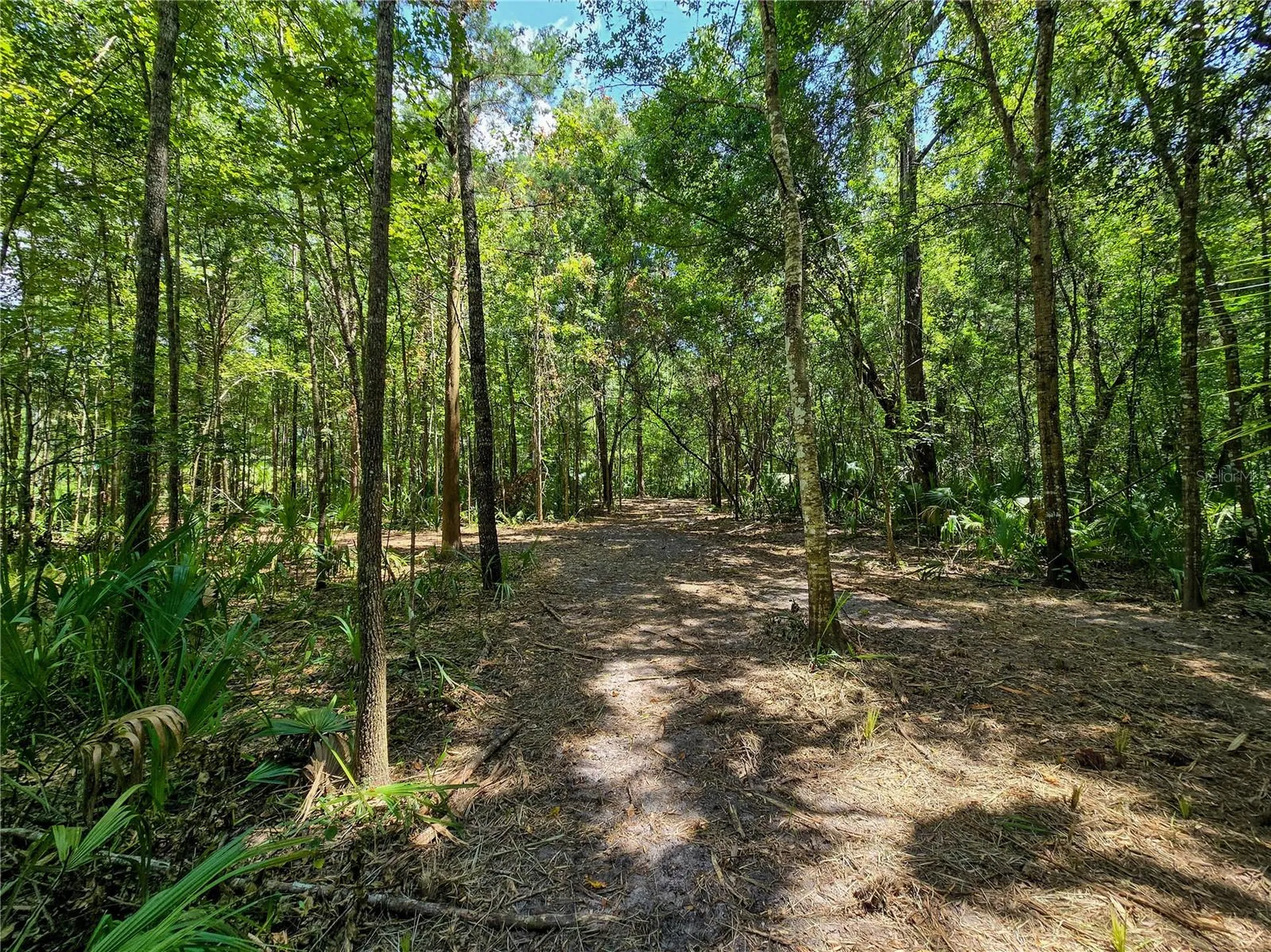 2381 N Jennifer Terrace Inverness FL 34453