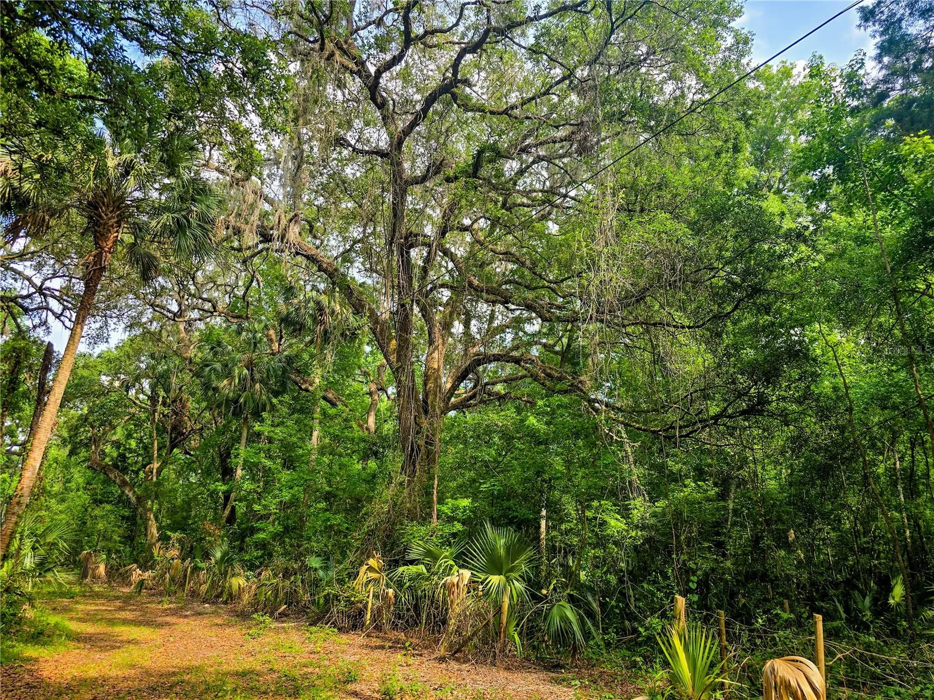 2381 N Jennifer Terrace Inverness FL 34453