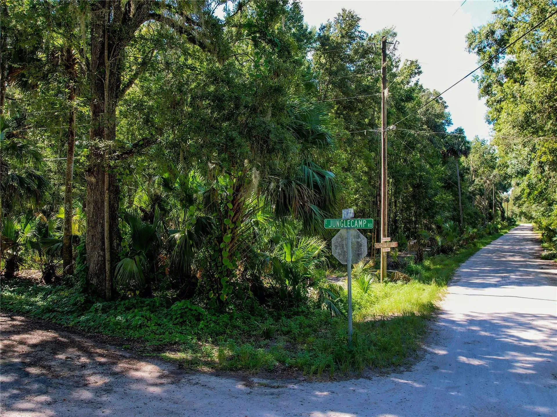 2381 N Jennifer Terrace Inverness FL 34453