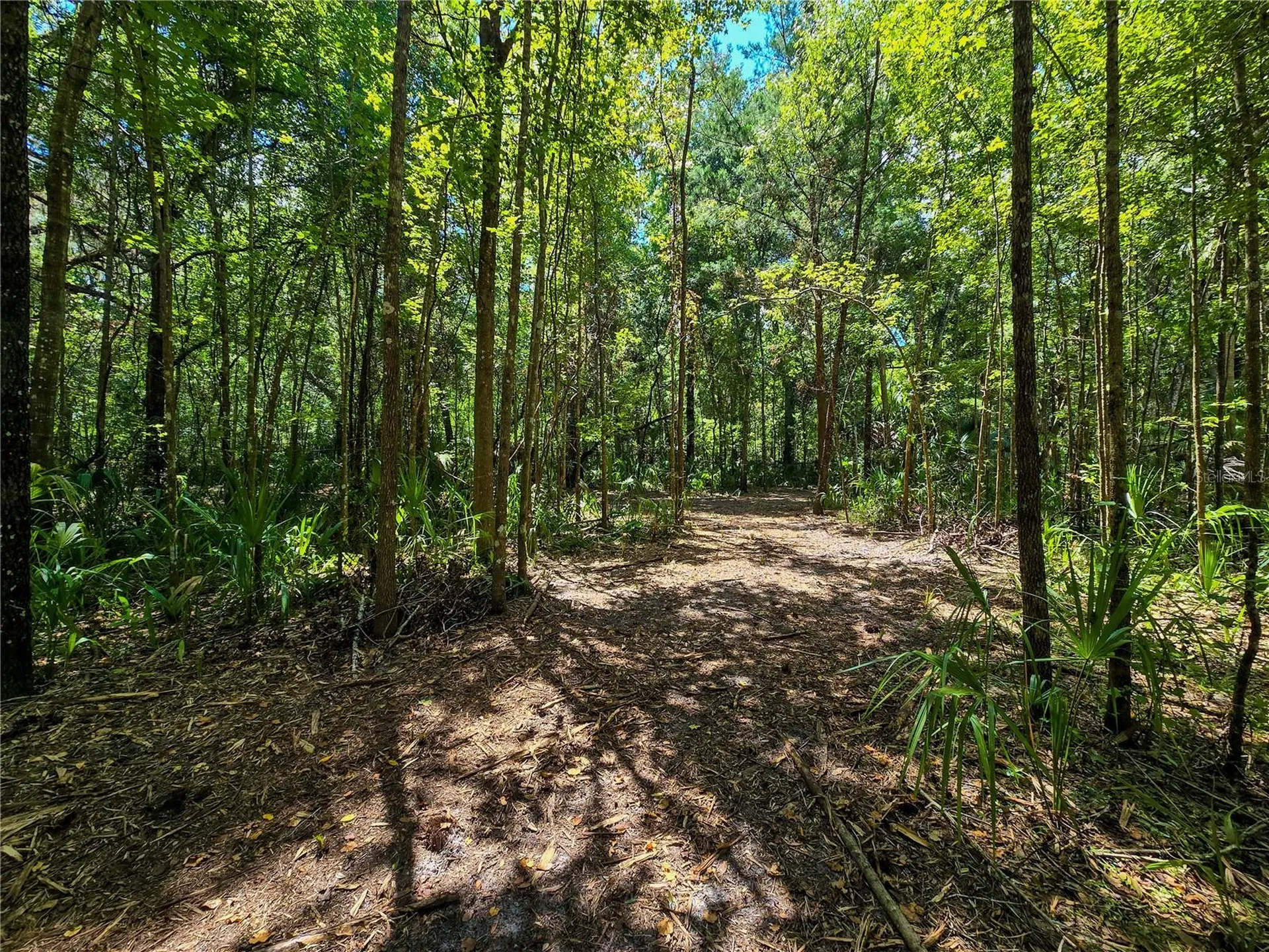 2381 N Jennifer Terrace Inverness FL 34453