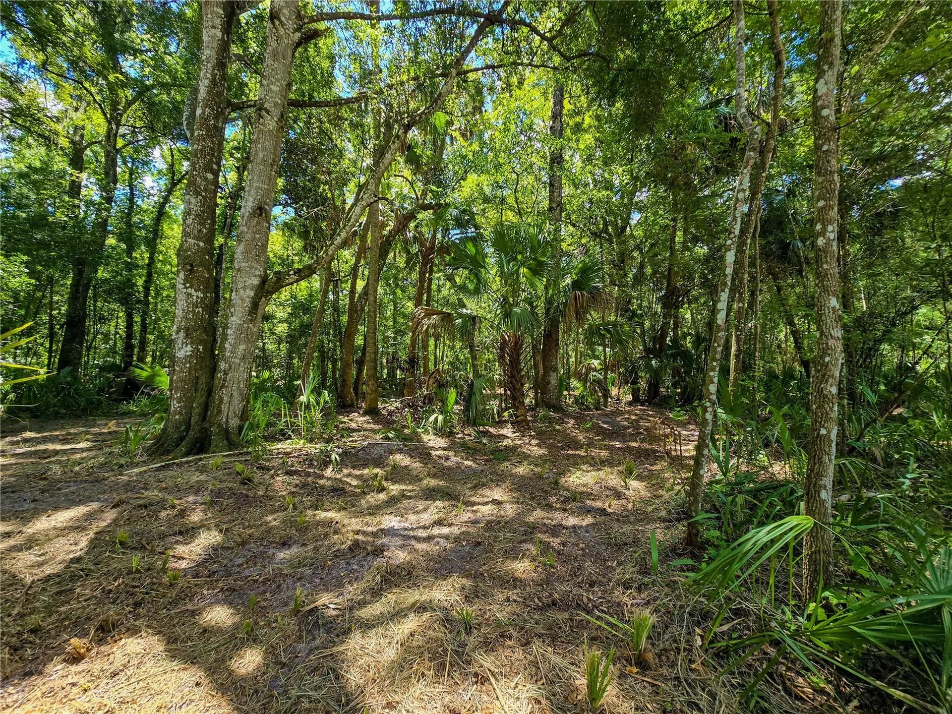 2381 N Jennifer Terrace Inverness FL 34453