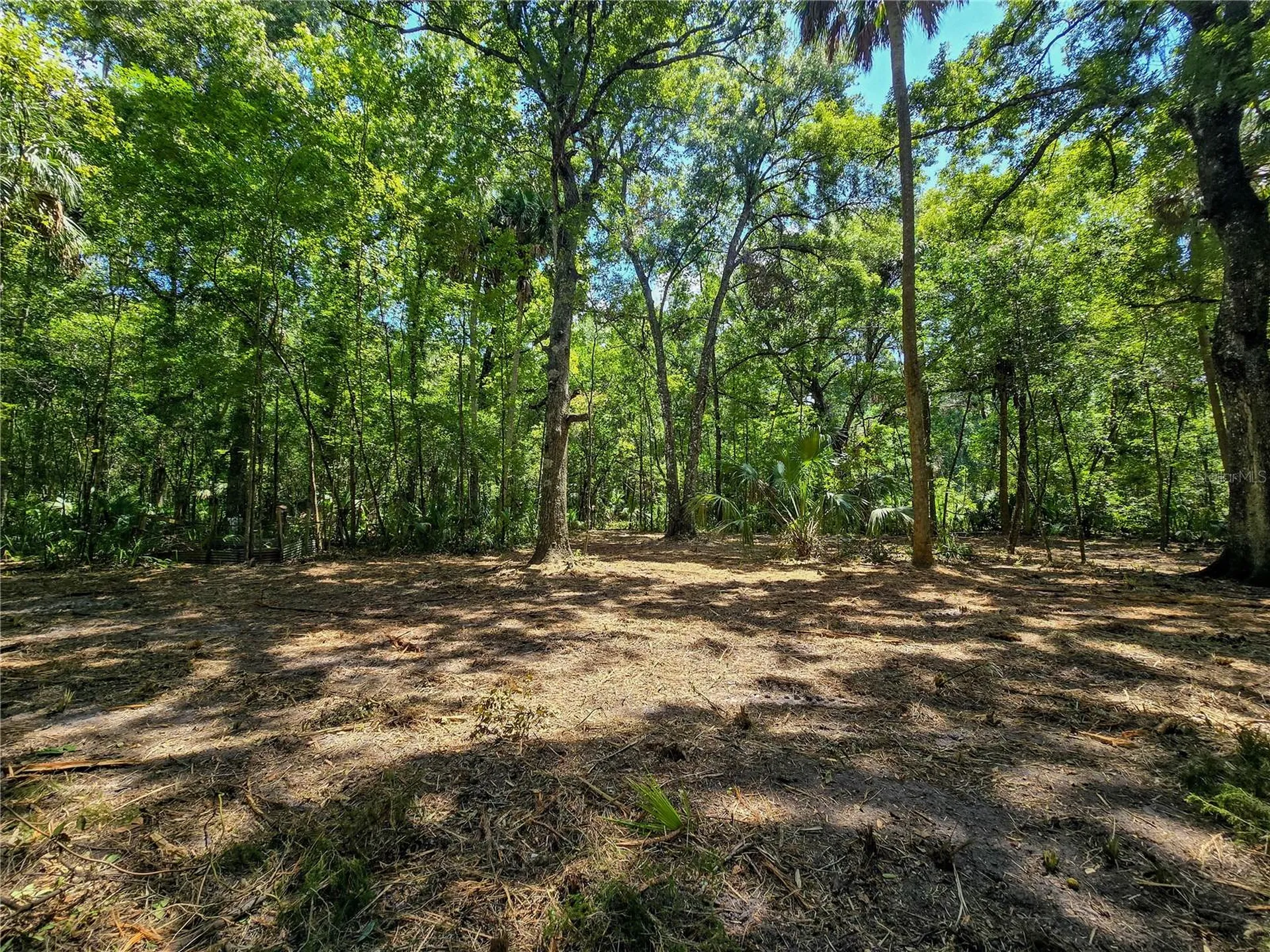 2381 N Jennifer Terrace Inverness FL 34453