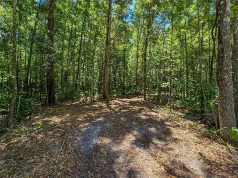 2381 N Jennifer Terrace Inverness FL 34453