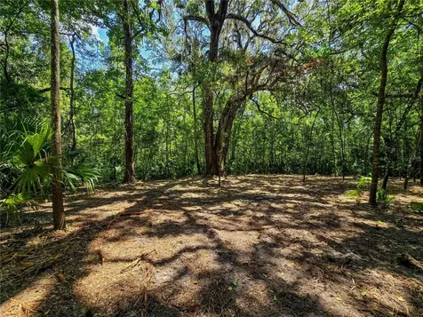2381 N Jennifer Terrace Inverness FL 34453