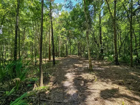 2381 N Jennifer Terrace Inverness FL 34453