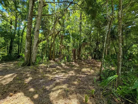 2381 N Jennifer Terrace Inverness FL 34453