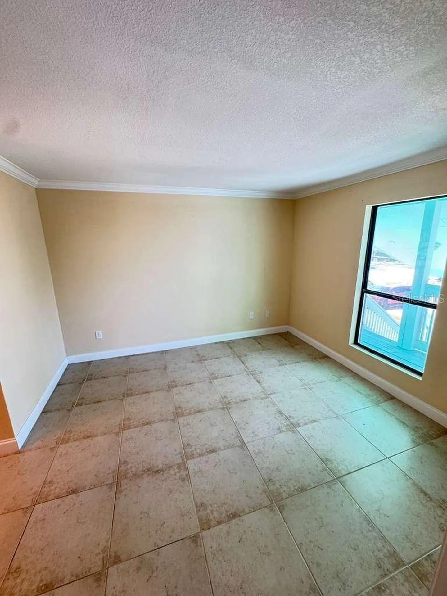 455 Alt 19 S Palm Harbor FL 34683