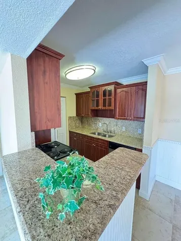 455 Alt 19 S Palm Harbor FL 34683