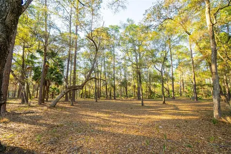 8600 NE 147th Avenue Road Silver Springs FL 34488