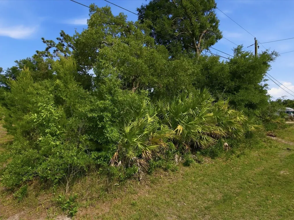 1001 10th Avenue Deland FL 32724