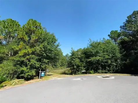 Magnolia Lake Drive Defuniak Springs FL 32433