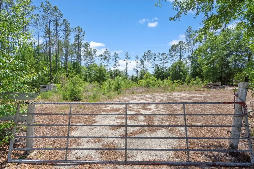 17950 SE 60th Lane Morriston FL 32668