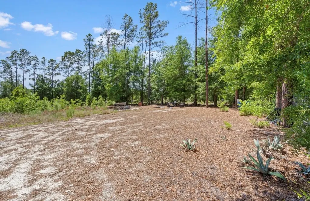 17950 SE 60th Lane Morriston FL 32668