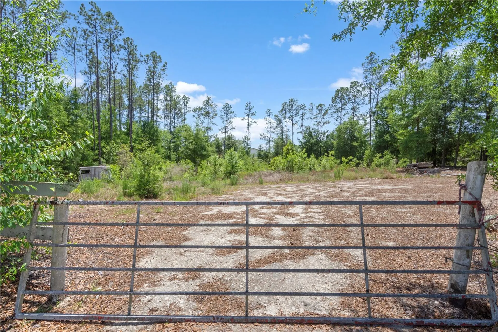 17950 SE 60th Lane Morriston FL 32668
