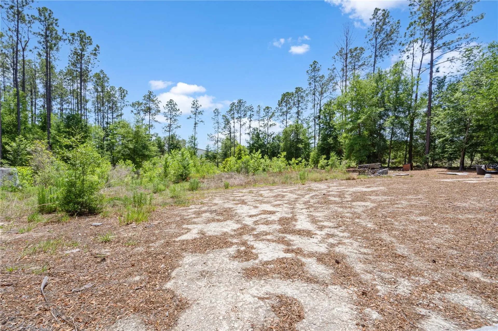 17950 SE 60th Lane Morriston FL 32668