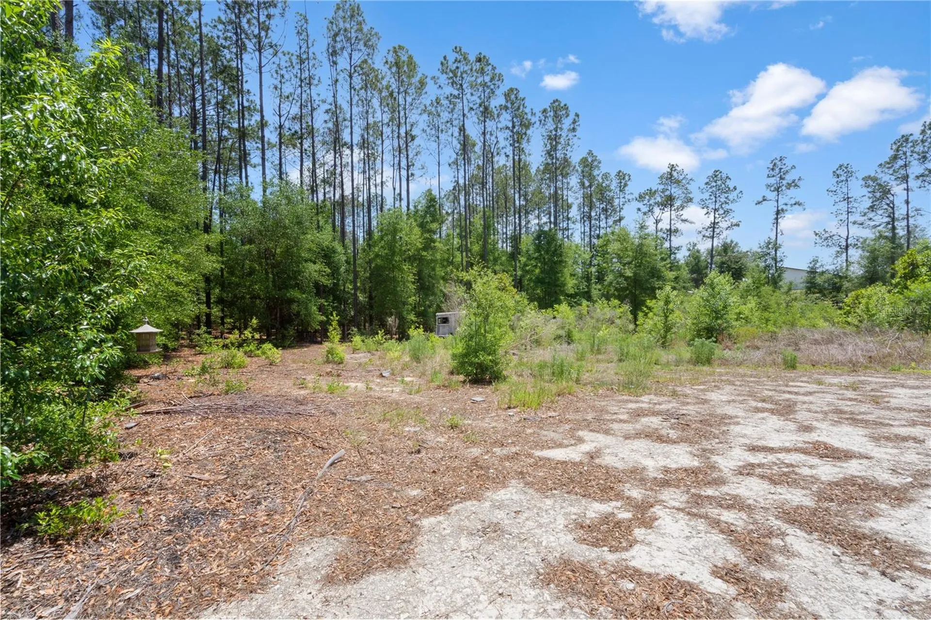 17950 SE 60th Lane Morriston FL 32668