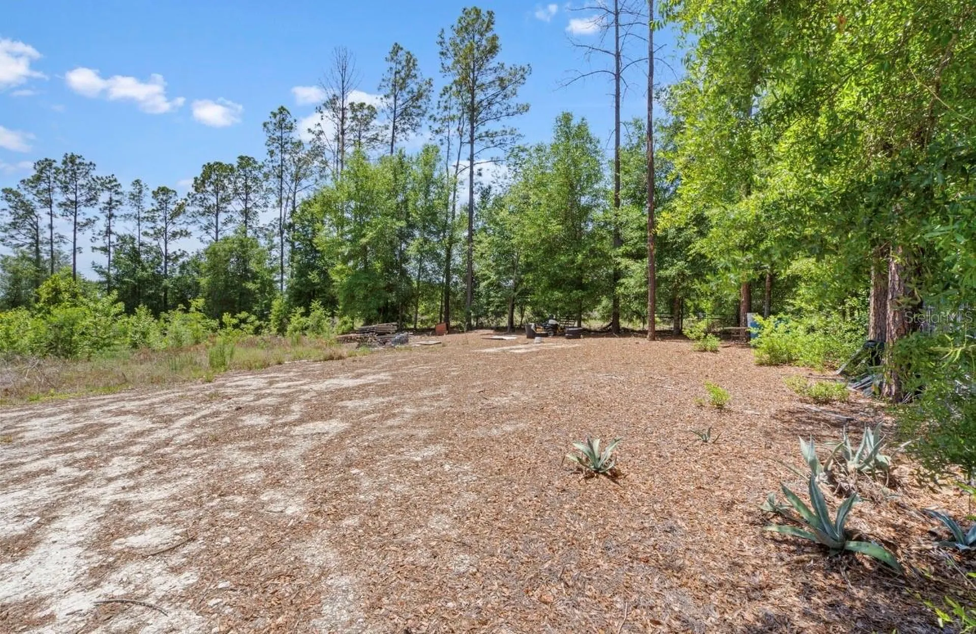 17950 SE 60th Lane Morriston FL 32668