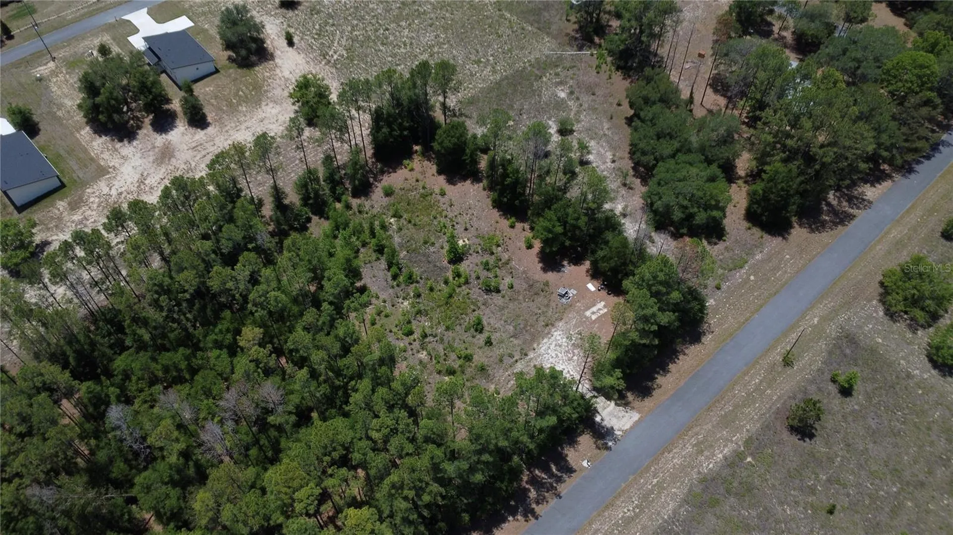 17950 SE 60th Lane Morriston FL 32668