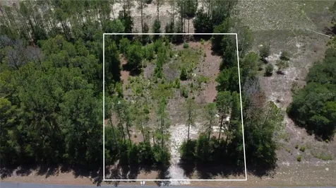 17950 SE 60th Lane Morriston FL 32668