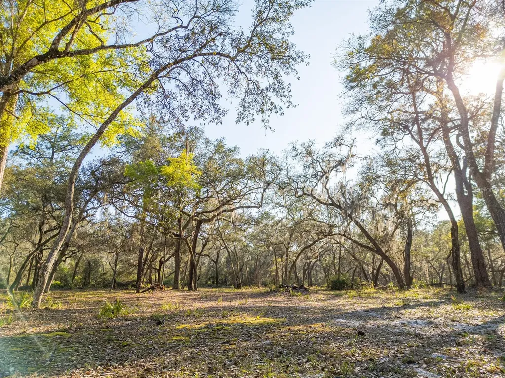 8600 NE 147th Avenue Road Silver Springs FL 34488