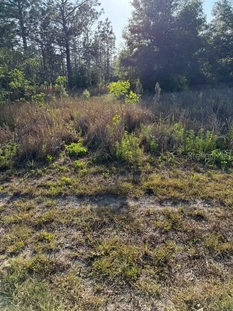 SW 142 Court Ocala FL 34481