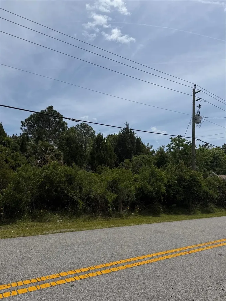 176 Bird Of Paradise Drive Palm Coast FL 32137