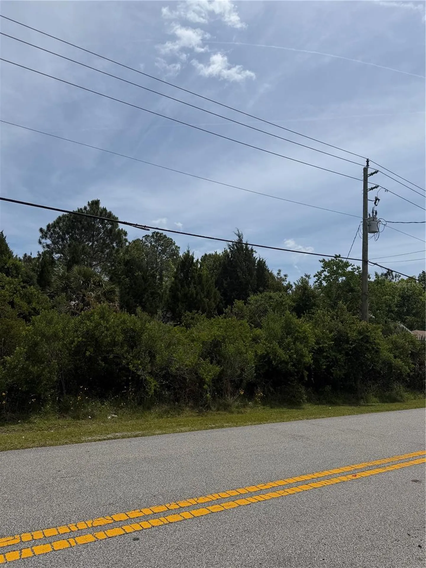 176 Bird Of Paradise Drive Palm Coast FL 32137