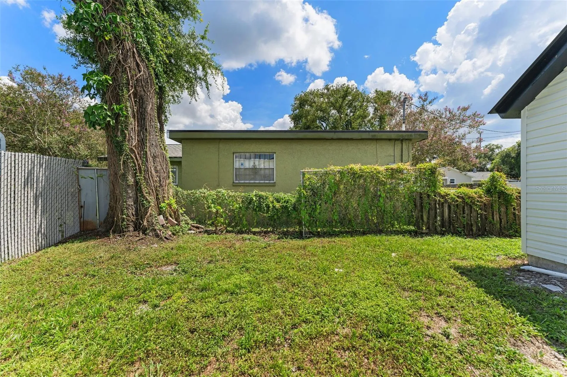 501 E Cluster Avenue Tampa FL 33604