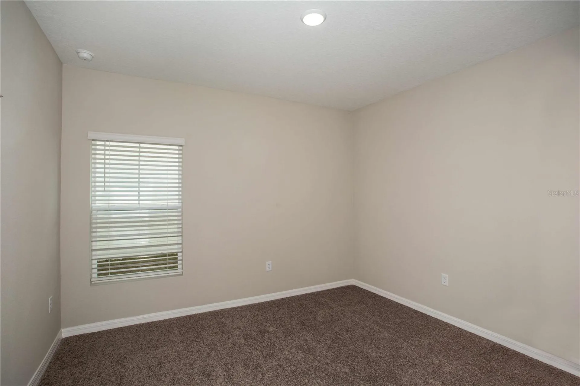 36628 Sagemoor Drive Zephyrhills FL 33541