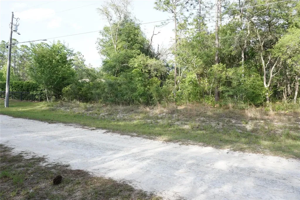 00 (TBD) SW 135 Terrace Road Dunnellon FL 34432