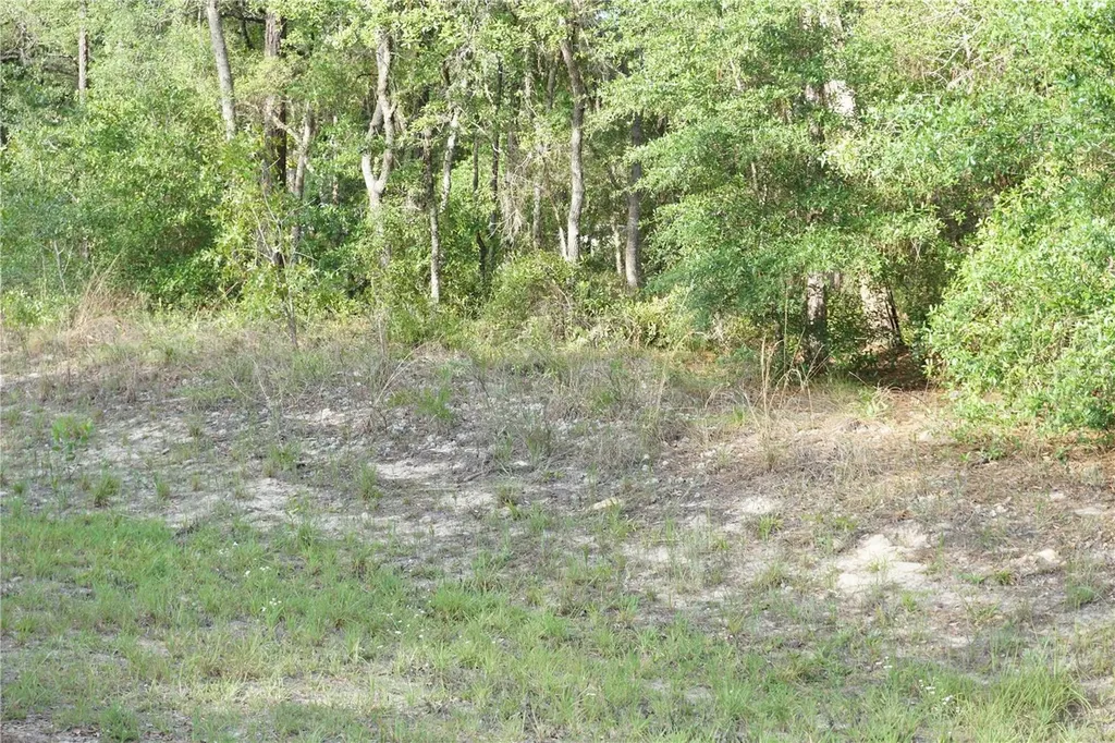 00 (TBD) SW 135 Terrace Road Dunnellon FL 34432