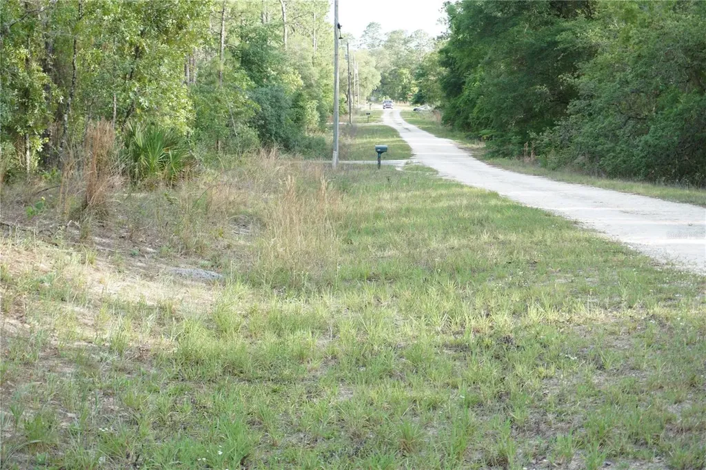 00 (TBD) SW 135 Terrace Road Dunnellon FL 34432
