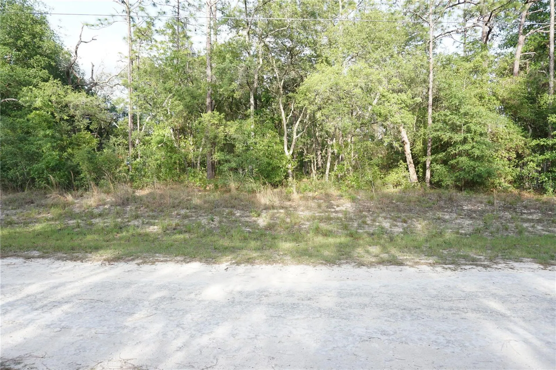 00 (TBD) SW 135 Terrace Road Dunnellon FL 34432