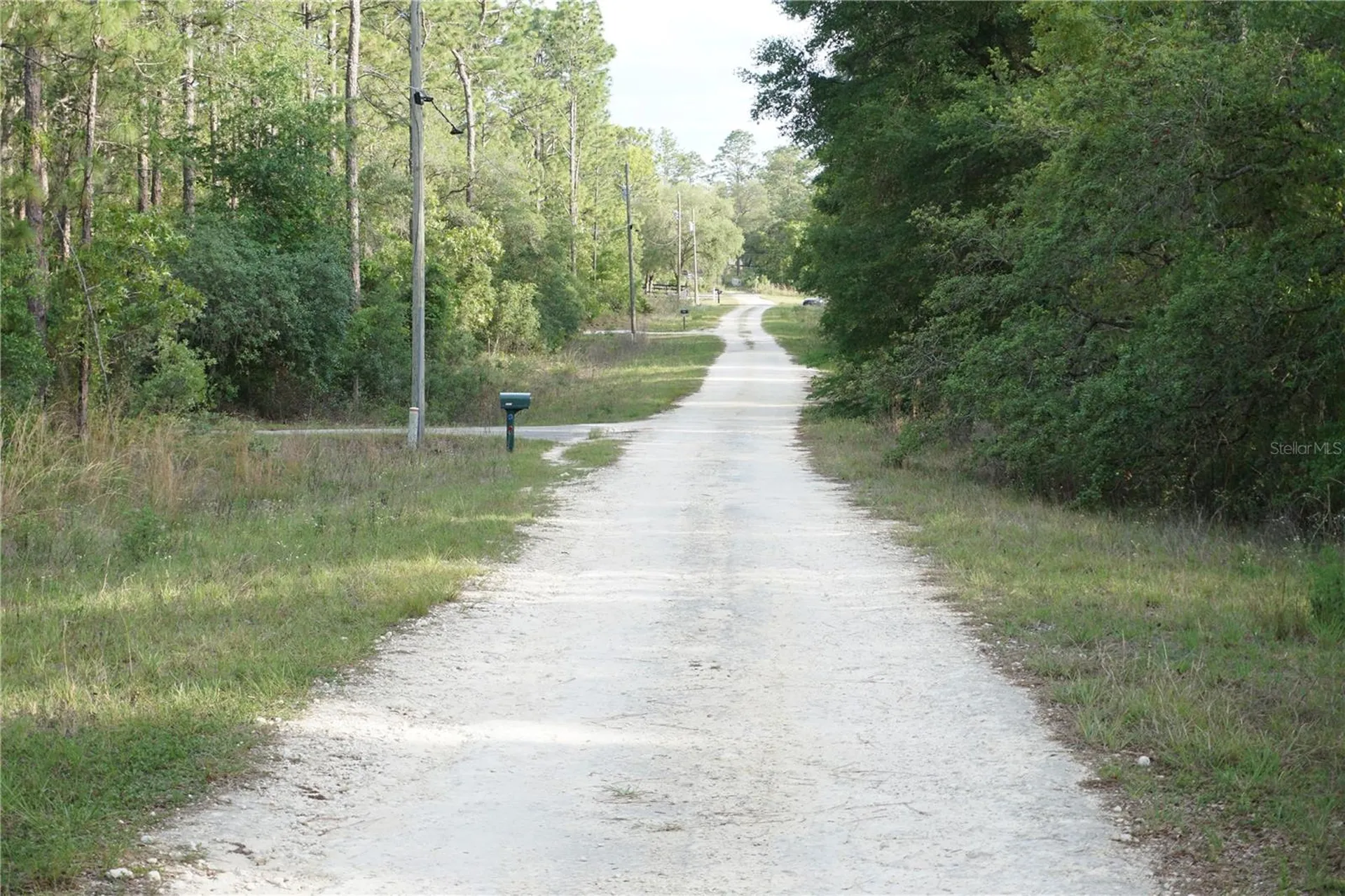 00 (TBD) SW 135 Terrace Road Dunnellon FL 34432