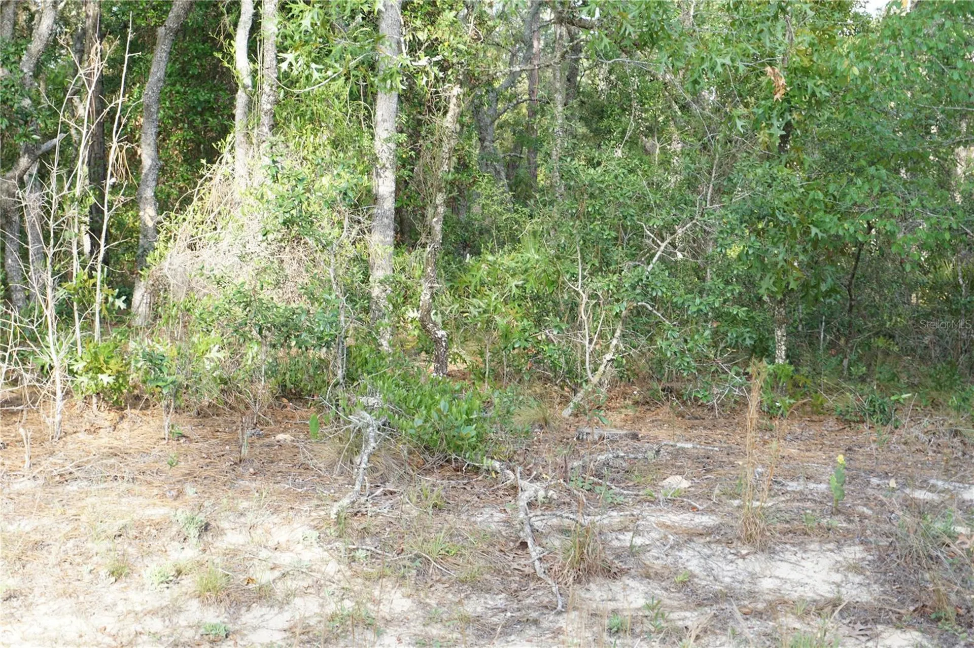 00 (TBD) SW 135 Terrace Road Dunnellon FL 34432