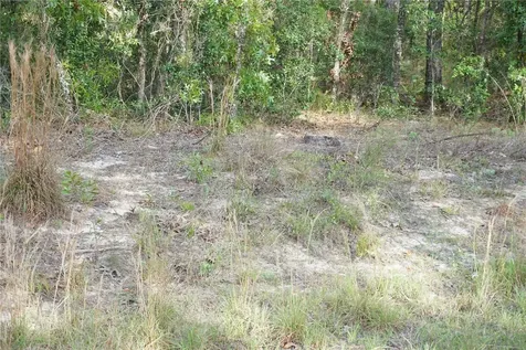 00 (TBD) SW 135 Terrace Road Dunnellon FL 34432