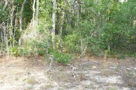 00 (TBD) SW 135 Terrace Road Dunnellon FL 34432
