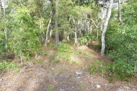 00 (TBD) SW 135 Terrace Road Dunnellon FL 34432