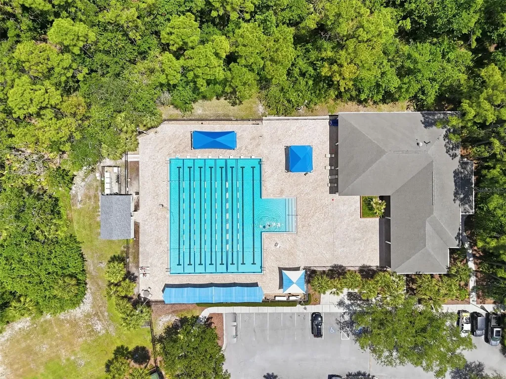 10111 Hayfield Way Tampa FL 33626