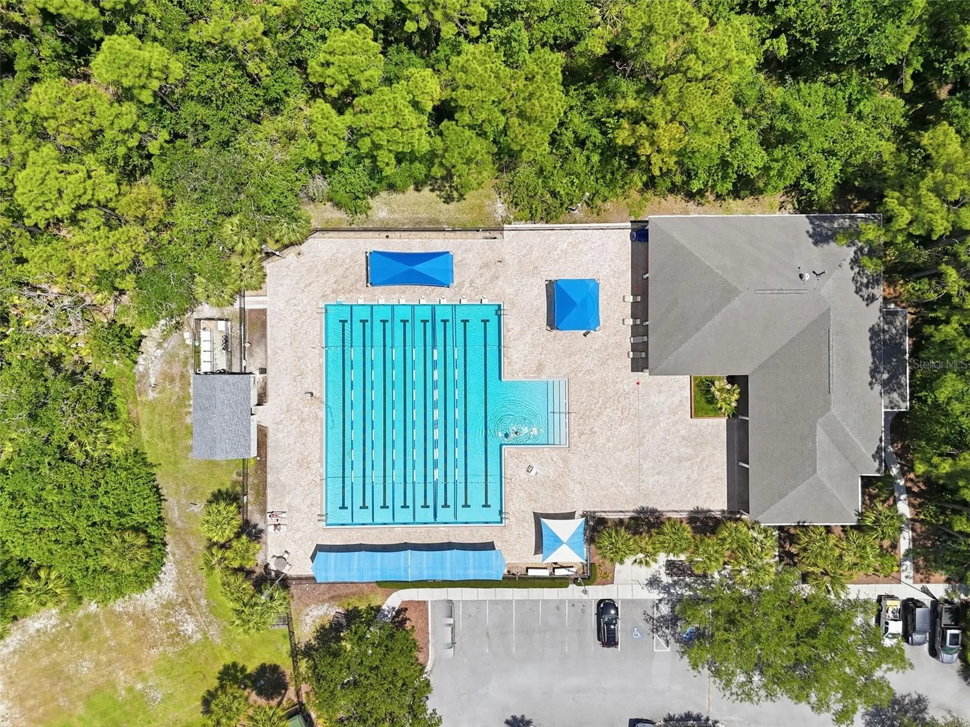 10111 Hayfield Way Tampa FL 33626