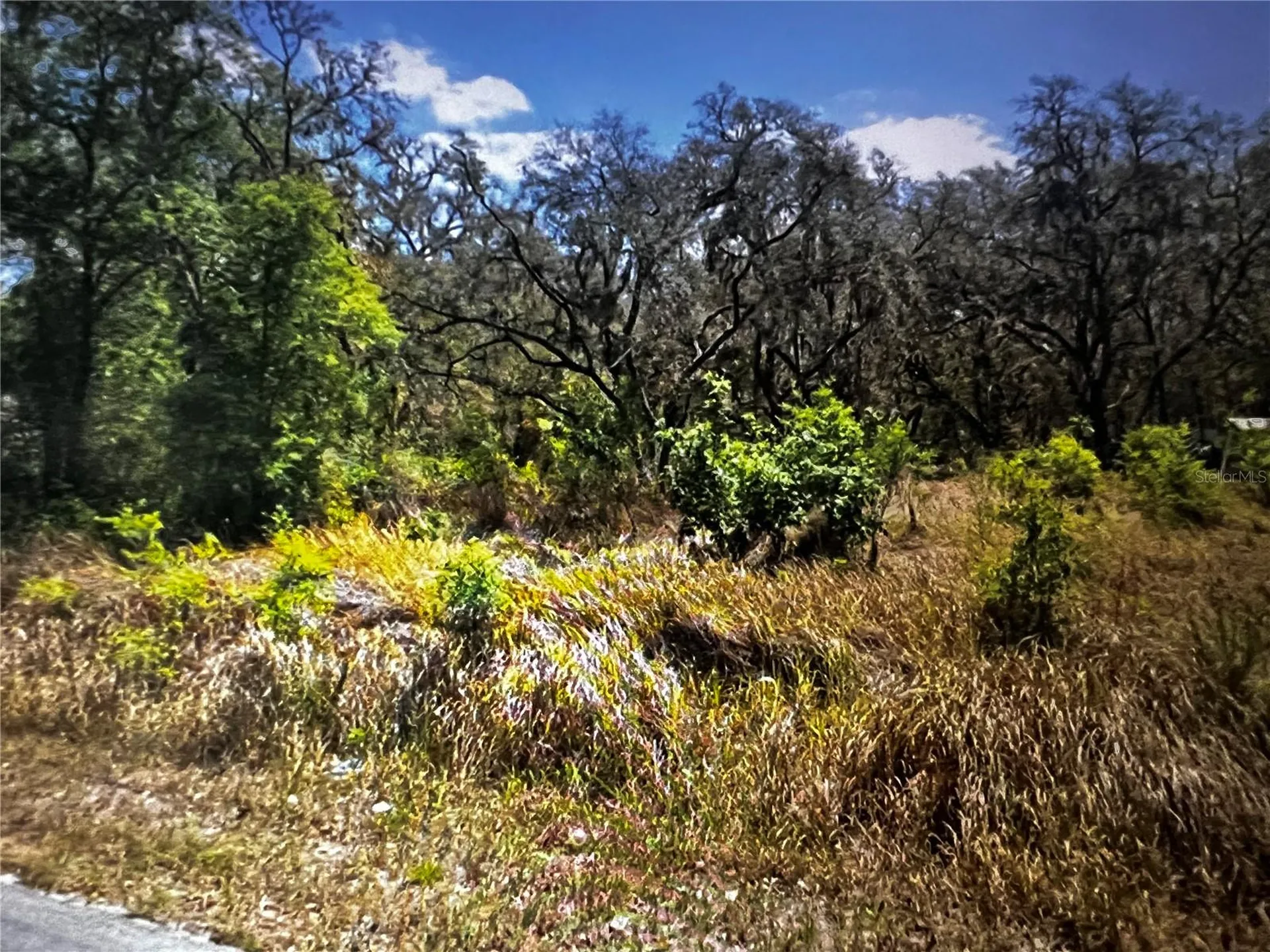 293 Oak Lane Drive Ocala FL 34472