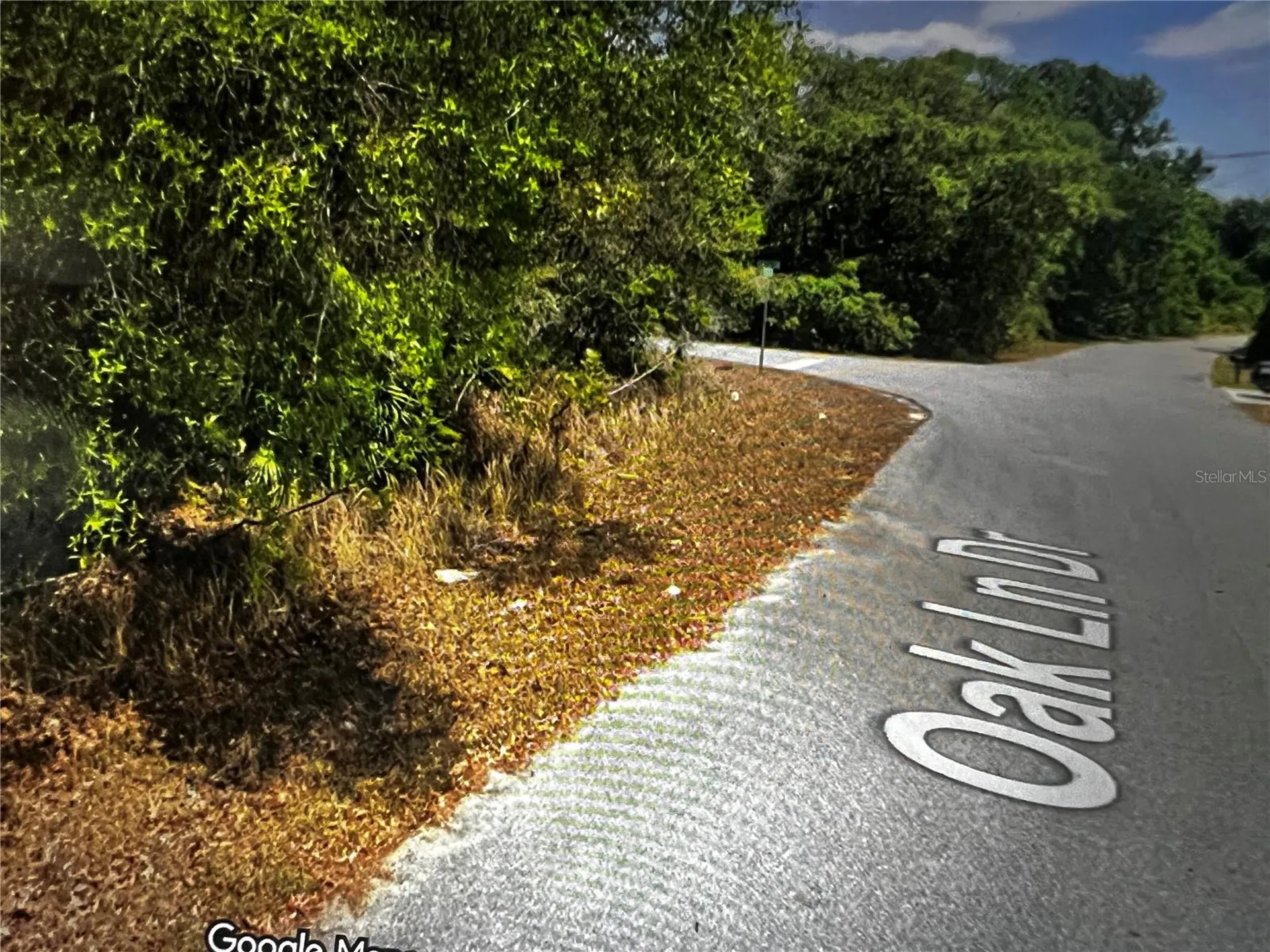 293 Oak Lane Drive Ocala FL 34472