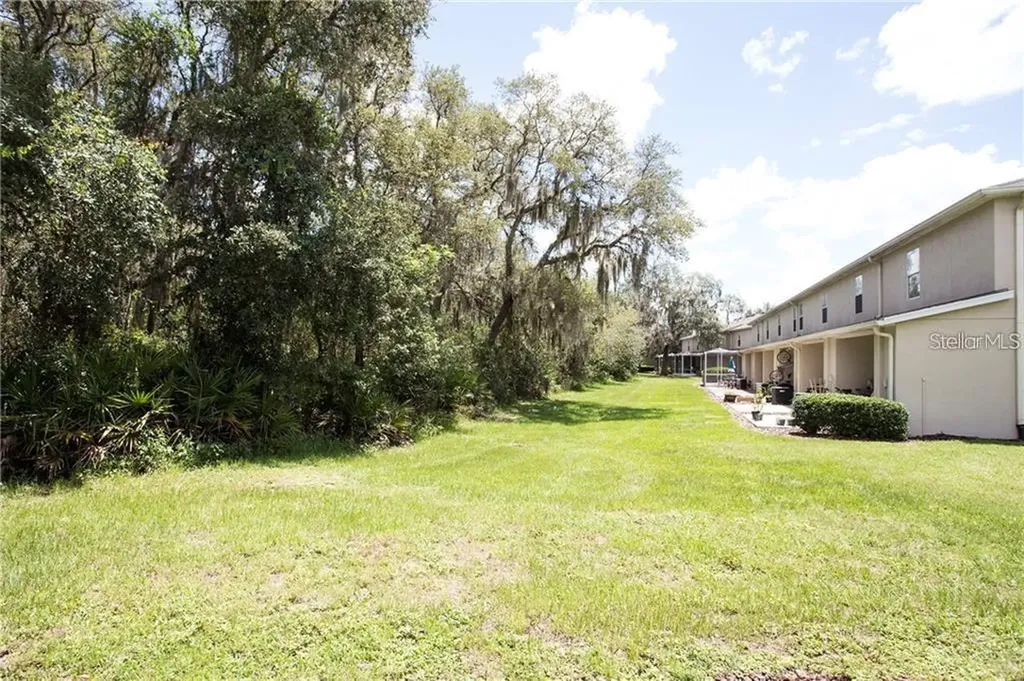15816 Fishhawk View Drive Lithia FL 33547