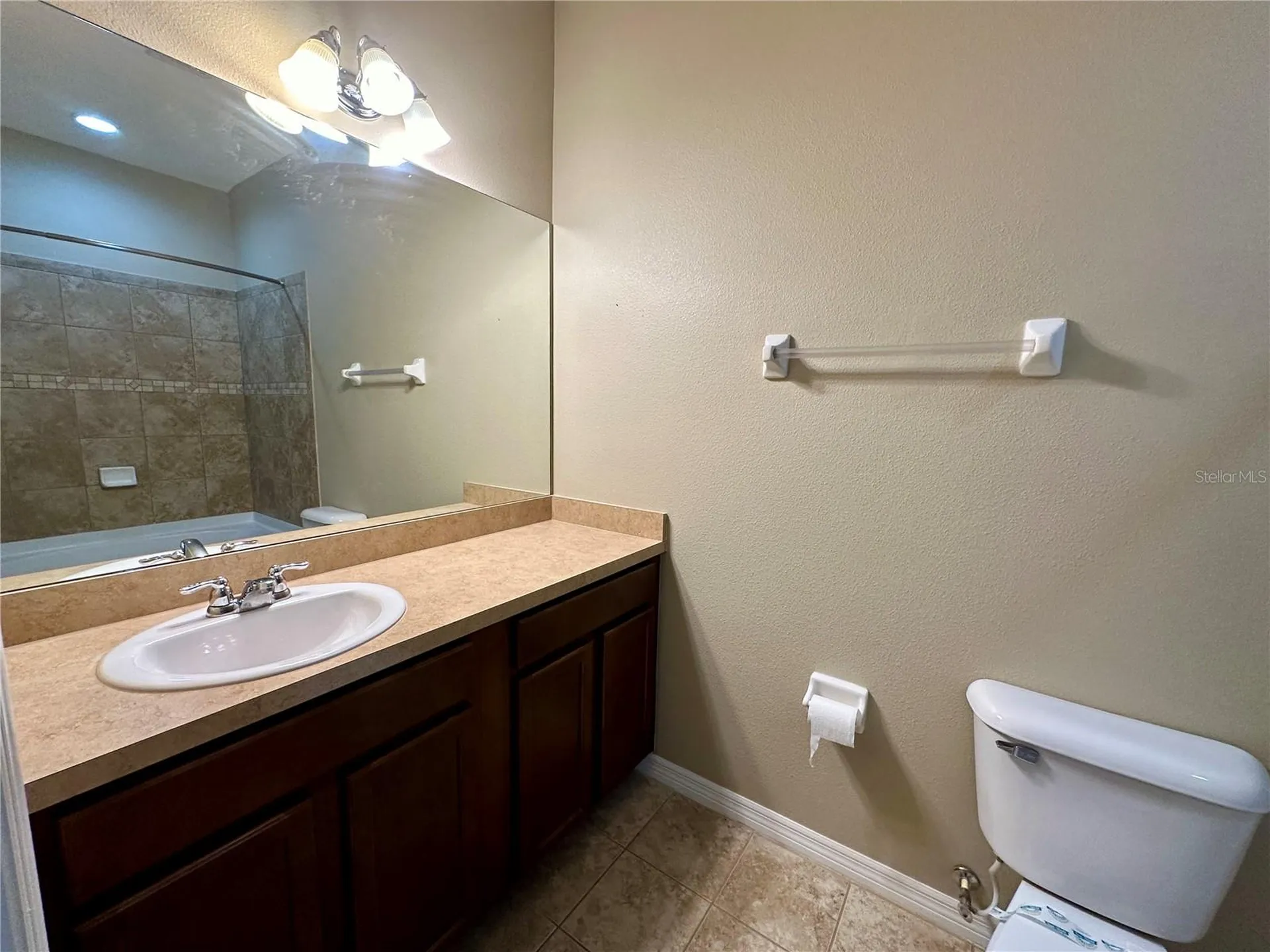 15816 Fishhawk View Drive Lithia FL 33547