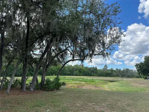 15816 Fishhawk View Drive Lithia FL 33547