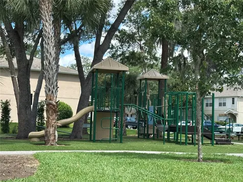 15816 Fishhawk View Drive Lithia FL 33547