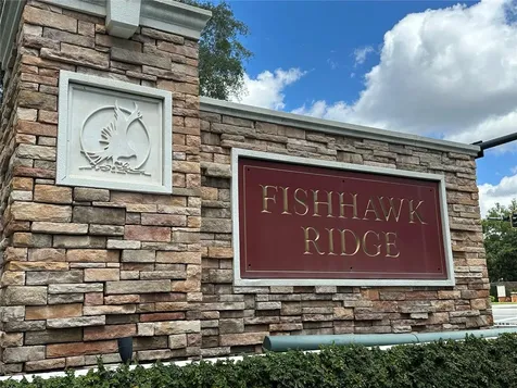 15816 Fishhawk View Drive Lithia FL 33547