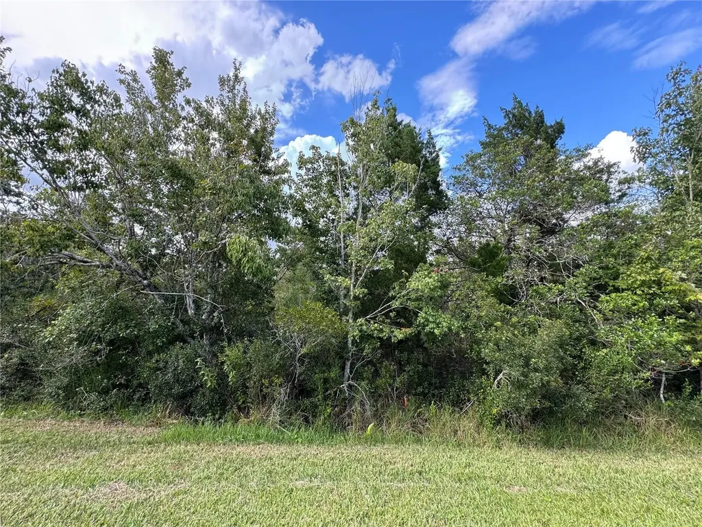 Sheldon Street Orlando FL 32833