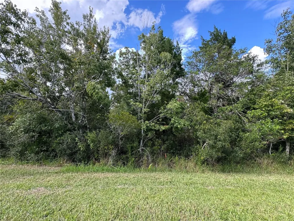 Sheldon Street Orlando FL 32833